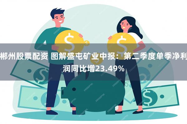 郴州股票配资 图解盛屯矿业中报：第二季度单季净利润同比增