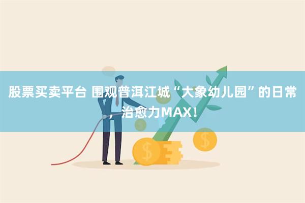 股票买卖平台 围观普洱江城“大象幼儿园”的日常，治愈力MAX！