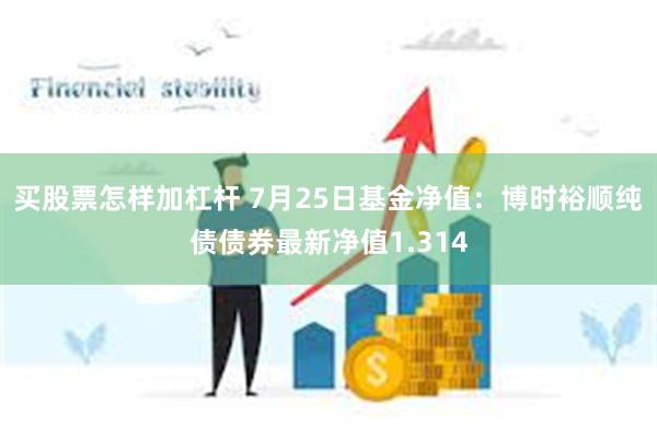 买股票怎样加杠杆 7月25日基金净值：博时裕顺纯债债券最