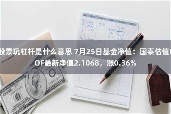 股票玩杠杆是什么意思 7月25日基金净值：国泰估值LOF最新净值2.1068，涨0.36%