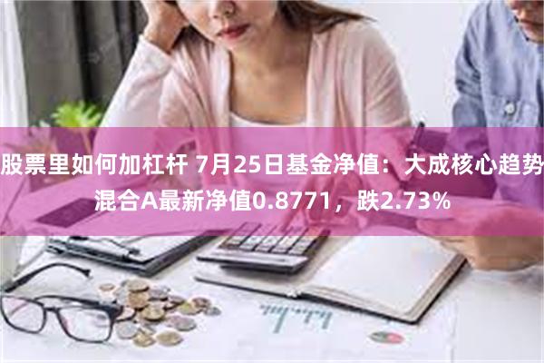 股票里如何加杠杆 7月25日基金净值：大成核心趋势混合A