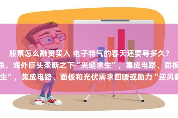 股票怎么融资买入 电子特气的春天还要等多久？A股龙头股价、业绩双杀，海外巨头垄断之下“夹缝求生”，集成电路、面板和光伏需求回暖或助力“逆风翻盘”