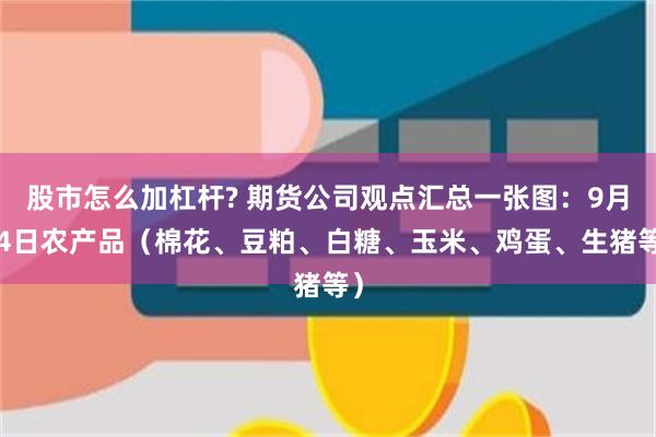 股市怎么加杠杆? 期货公司观点汇总一张图：9月24日农产品（棉花、豆粕、白糖、玉米、鸡蛋、生猪等）