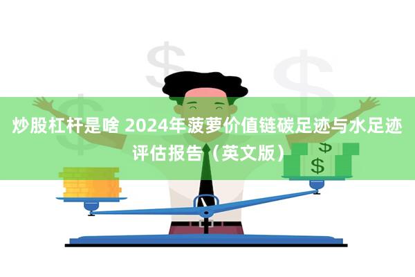 炒股杠杆是啥 2024年菠萝价值链碳足迹与水足迹评估报告（英