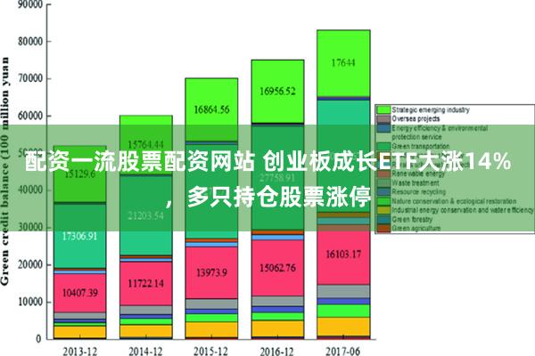 配资一流股票配资网站 创业板成长ETF大涨14%，多只持