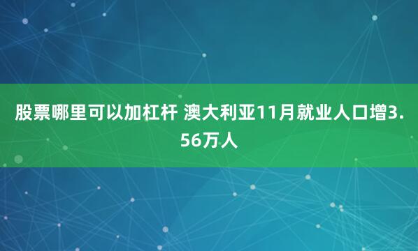 股票哪里可以加杠杆 澳大利亚11月就业人口增3.56万人