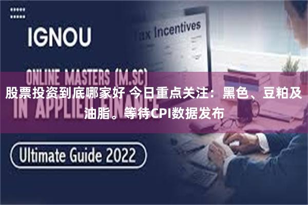 股票投资到底哪家好 今日重点关注：黑色、豆粕及油脂。等待CPI数据发布