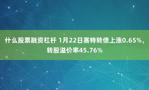 什么股票融资杠杆 1月22日赛特转债上涨0.65%，转股溢价率45.76%