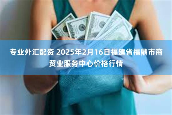 专业外汇配资 2025年2月16日福建省福鼎市商贸业服务中心价格行情