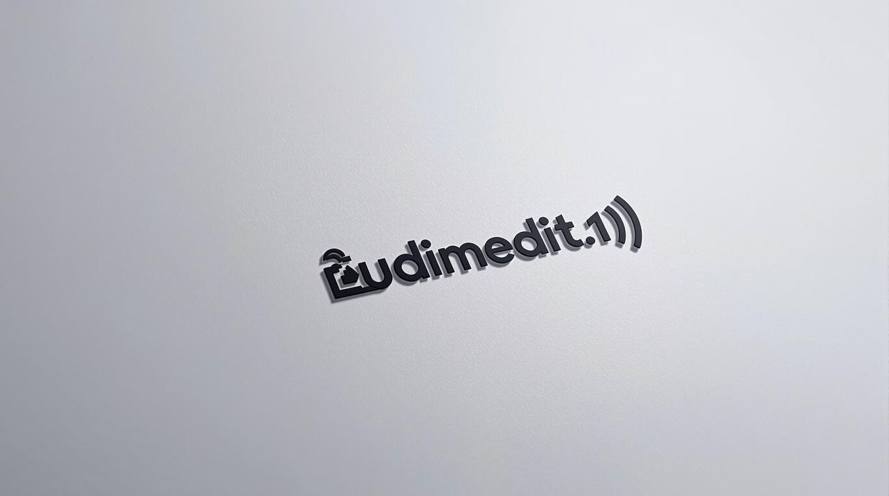 华策影视 Logo